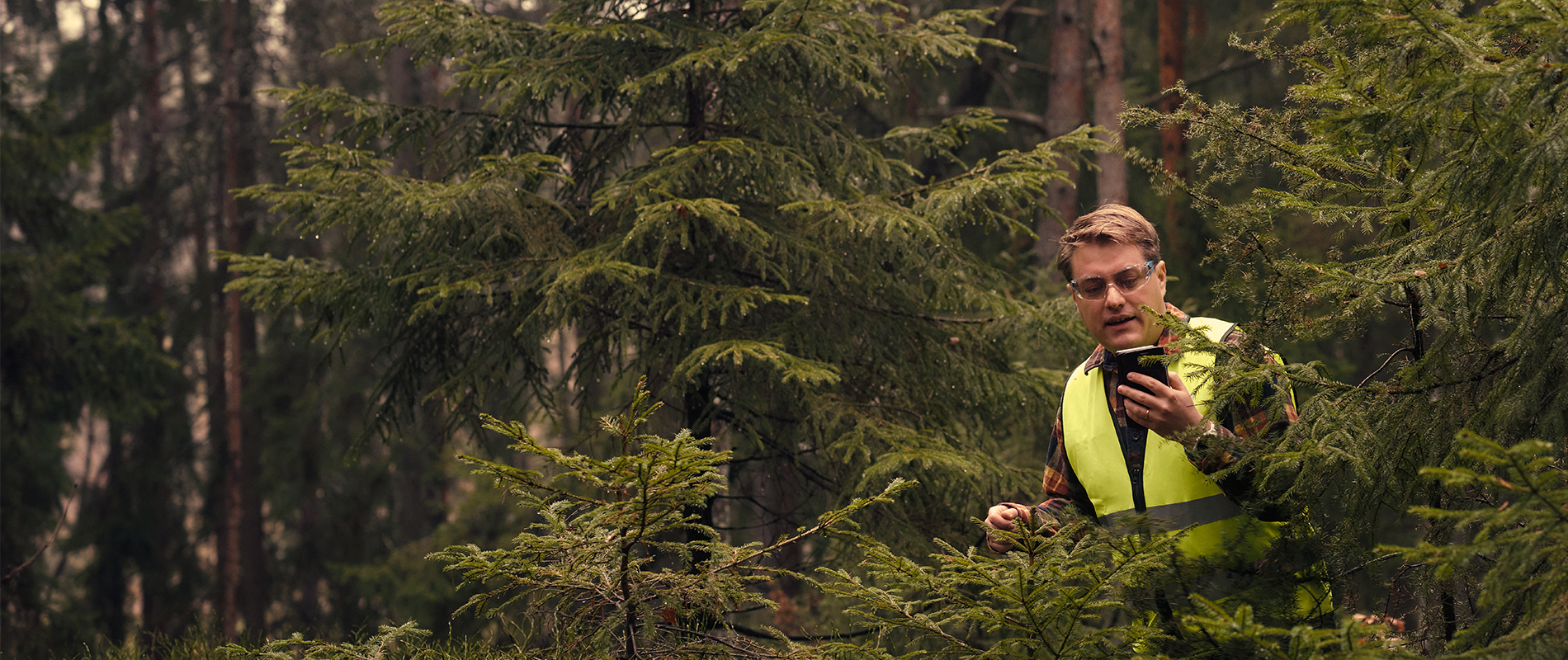 forest-pine-person-2200x400